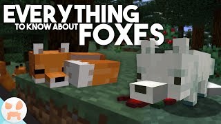 EVERYTHING to know about FOXES!