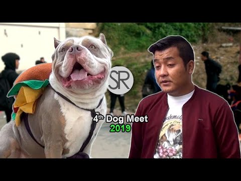 SR : 4th Dog Meet | [31.12.2019]