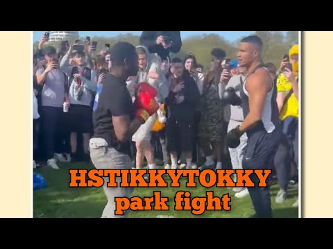 HSTIKKYTOKKY fighting in a park