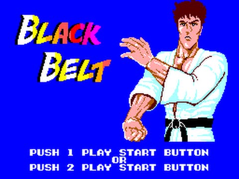 Black Belt Master System