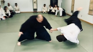 Aikido: Kokyu Details (Kokyu-Ho/Kokyu Nage)