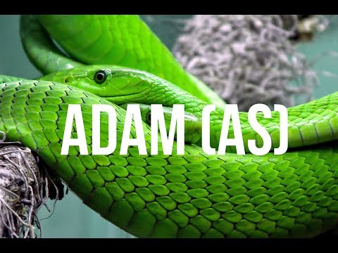 01 - Mufti Menk - Stories of the Prophets - Adam (AS)