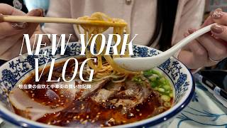 【NYC Vlog】China townでお買い物｜自炊の記録｜NY駐在妻