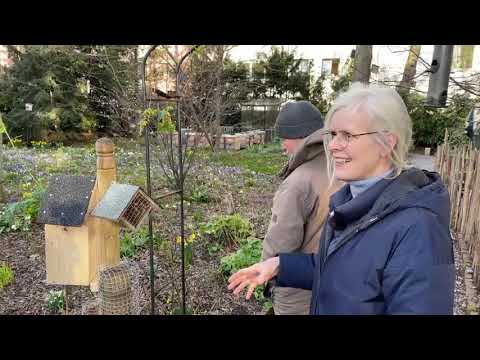 Krokus-Ausgabe - Live von Pias Bienenstand - 23.02.