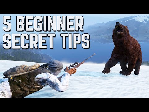 5 DAYZ BEGINNER TIPS (NAMALSK)