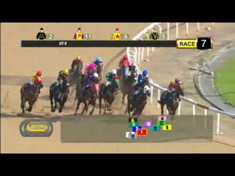 KRANJI STAKES C - 1000M  - 03/03/2019 Full Race
