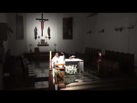 Niedziela 7.05.2023 godz. 21.30 - Msza św. "ostatnia w mieście" - kazanie