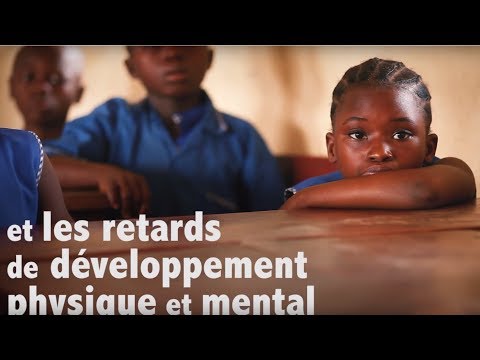 Sécheresse : des conséquences lourdes et durables