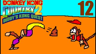 preview picture of video 'Basement Quality - Donkey Kong Country 2: Diddy's Kong Quest (Part 12/13)'