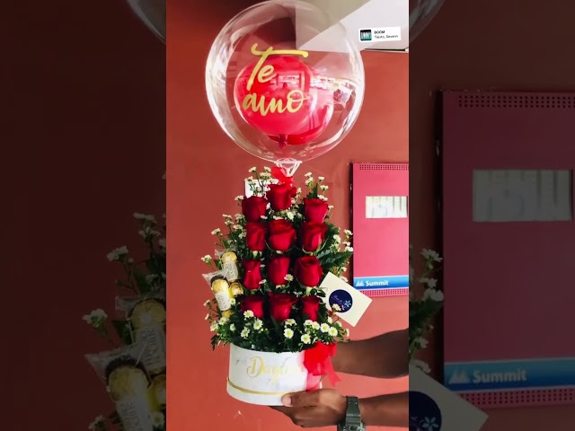 Vídeo relacionado con Gdecora Rosa Preservada Fucsia de Ecuador, Rosa Natural Preservada con Tallo 35cm Regalo para Mujer, Ideas para Sant Jordy, Día de la Madre y Cumpleaños, Ramos y Detalles Románticos (Fucsia)