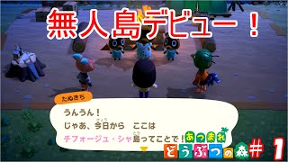 無人島デビューしました！【あつ森part1】