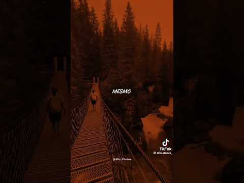 29 de setembro de 2025