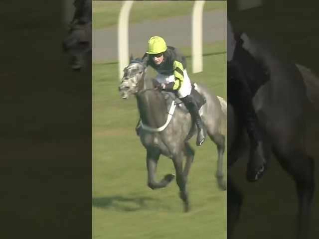 Thumbnail for Post ID: N4P44HC-78M