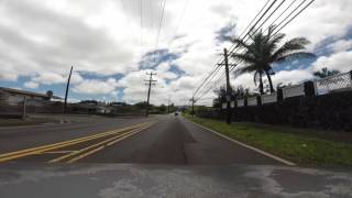 Skip Marley: Lions (Reggae)