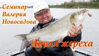 Семинар по рыбной ловле