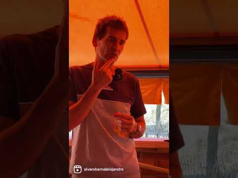 Entrenamiento del cuello