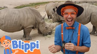 Blippi Explores a Safari Park | Learn About Animals For Kids | Educational Videos for Toddlers gameplay video by sthughs, 62:04 duration