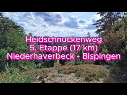 Heidschnuckenweg 5. Etappe (17 km) Niederhaverbeck - Bispingen