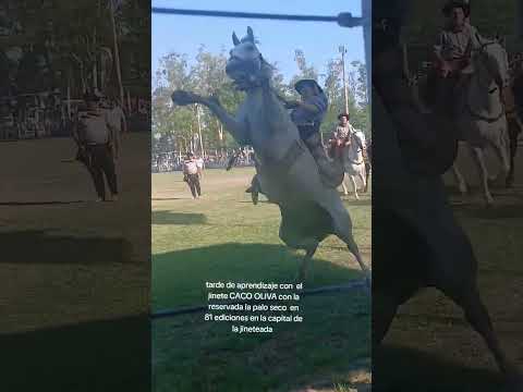 Las 81 ediciones de la capital de la jineteada las varillas predio de DON TÍTO SALUZZO