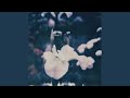 Rinnovare & Benoit Pioulard || To Be in the Grey is Okay Rinnovare & Benoit Pioulard || To Be in the Grey is Okay