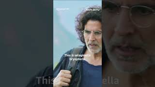 trailer movie image - 2