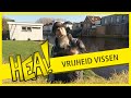 HEA: Carpe diem in Akkrum
