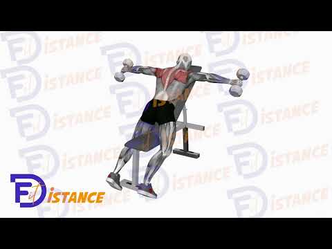 Élévations latérales postérieures avec haltères en appui poitrine - Exercice Élévations latérales postérieures avec haltères en appui poitrine en vidéo