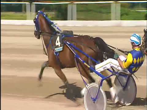 Trotto 20/05/2018 - 4ª corsa