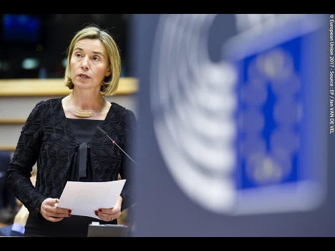 Dual citzens with EU passports not affected by U.S. travel ban: EU