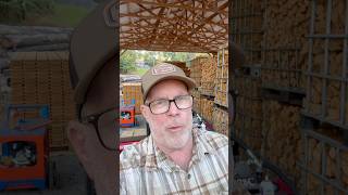 What Brings More Money? Firewood or Lumber?