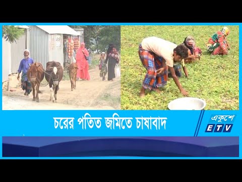 কৃষিতে মনোযোগী হয়েছেন প্রবাস-ফেরতরা
