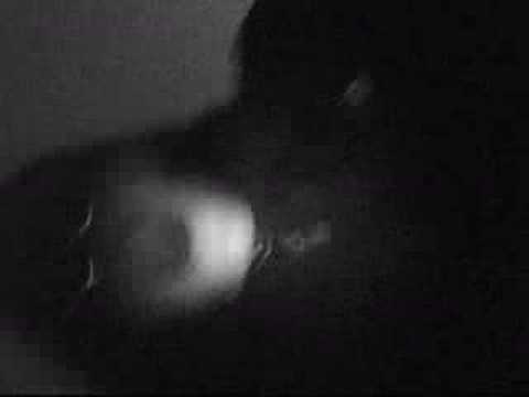 Viñarock ´08 - Sunday Arak