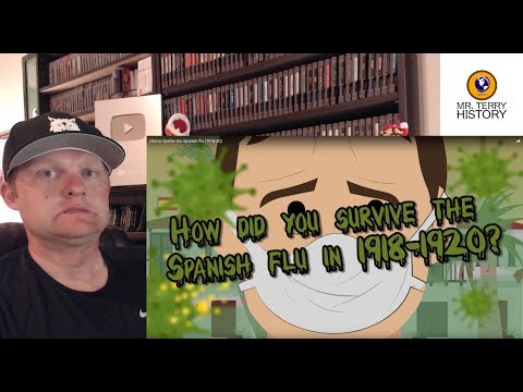 Ein Geschichtslehrer reagiert | „Wie man die Spanische Grippe (1918-20) überlebt“ von Simple History
