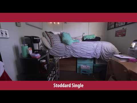 Stoddard Complex Single