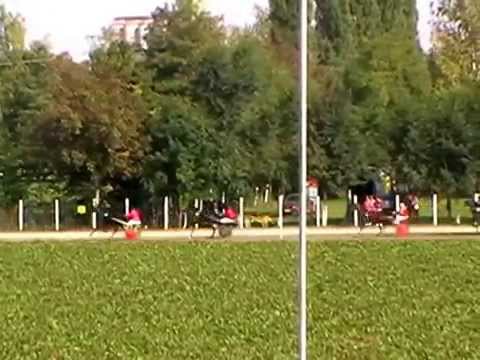 "III kasacka trka" (KK "Vranac"),1600 m; 10.10.2010.