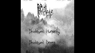 propoxyphene/apothecary-shadowed humanity, shadowed omen (full split)