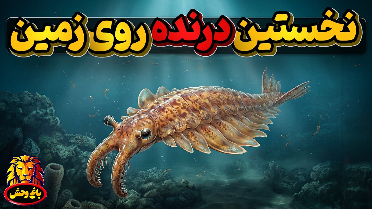 آنومالوکاریس ، نخستین درنده ای که در زمین شروع به دریدن کرد