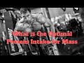 What is the Optimal Protein Intake for Mass?