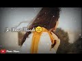 New Punjabi Sad Song Whatsapp Status Video | Punjabi Sad Status For Girls