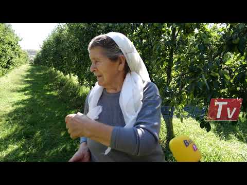 BELSH TV - Një investim që filloji 18 vite më parë...