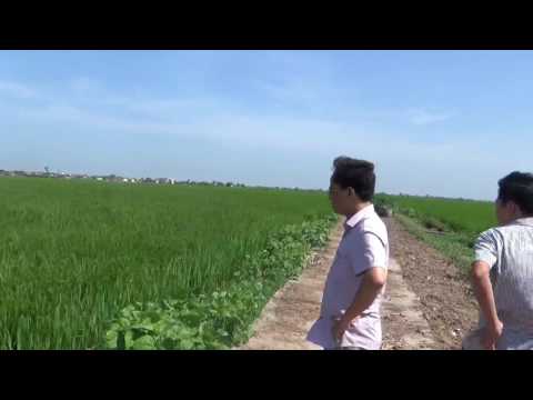 Kiểm tra đón đòng