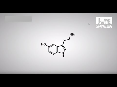 D-wayne - Serotonin