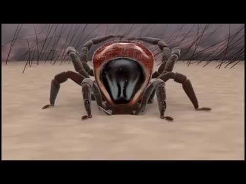 MEgional 2016 05 20 HD