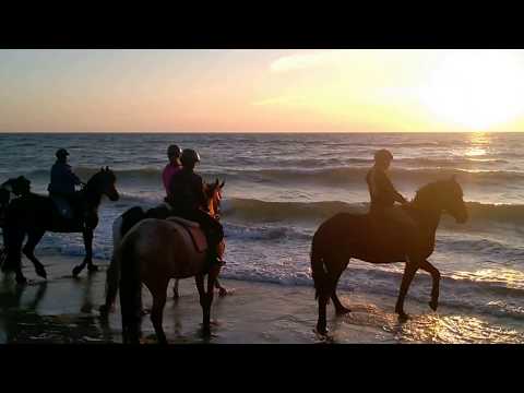 Stajnia Horyzont Jarosławiec - teren (08.07.2017)