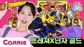 트레져X 닌자 골드 마스터팩, 배틀팩, 드래곤스워드팩 언박싱 | 장난감 탐구생활 | 캐리와장난감친구들 |  Play Carrie