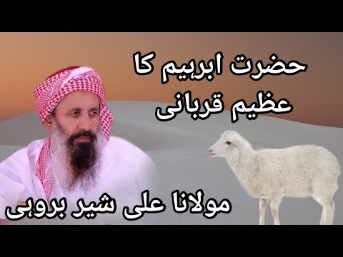 Molana Ali Sher Brohi New Bayan 2024 Emotional Bayan Hazrat ibraheem A S Qurbani Brahvi Bayan Taqrir