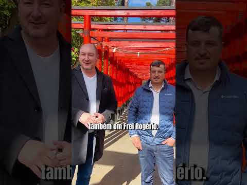 🔔🌎 Aqui em Santa Catarina, temos um símbolo único da paz