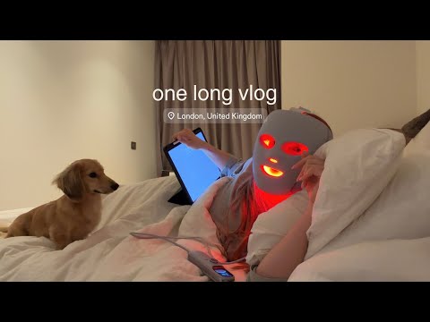 one long november vlog
