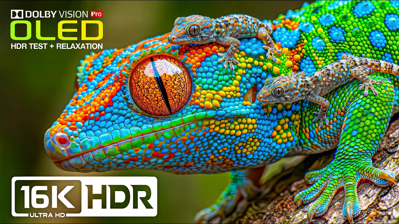 Impossible Clarity HDR Colors | 16K Dolby Vision Nature Test (8K/4K Video TV)