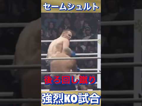 『マークハント沈む』強烈後ろ回し蹴りセームシュルトVSマークハント #k1  #short #k1wgp  #格闘技 #セームシュルト #マークハント  #boxing